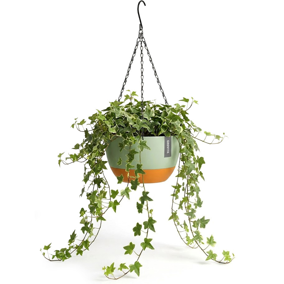Hanging Planter with Self-Watering - Green - For Indoor and Outdoor - Plant Pots
