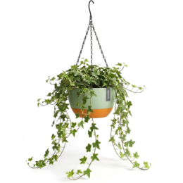 Green hanging pot with drainage, suitable for indoor and outdoor use as a flower pot. Includes a water reservoir. Available in 21 cm, 24 cm, and 29 cm sizes.
