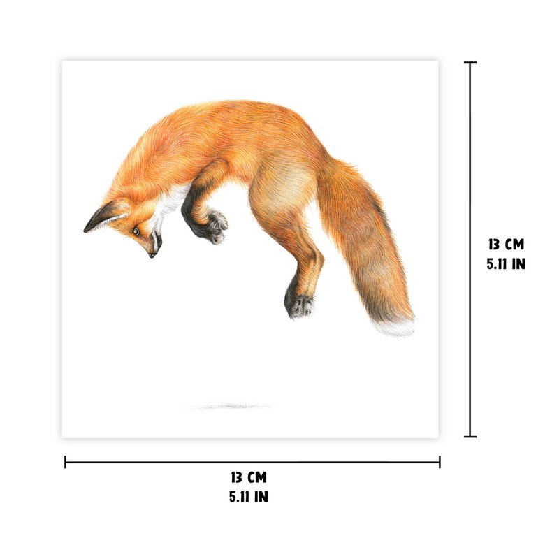 Red Fox - Greeting Card, 13 x 13 cm, Wildlife, Cards