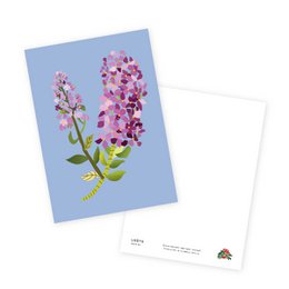 Postcard - Filipendula