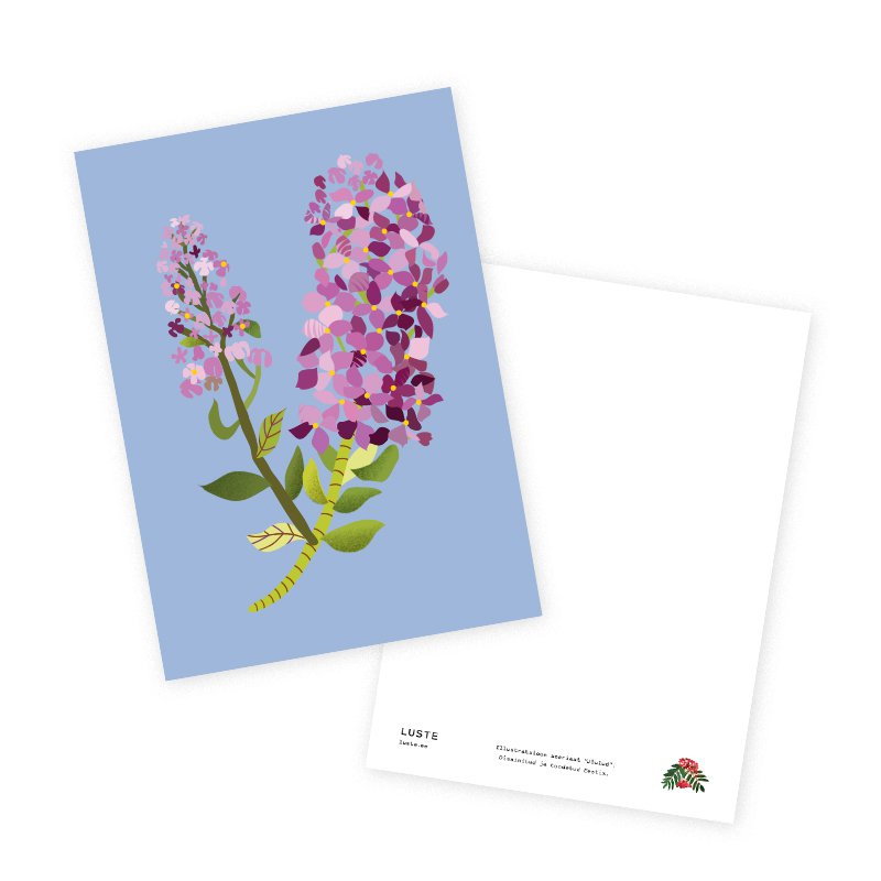 Postcard - Filipendula