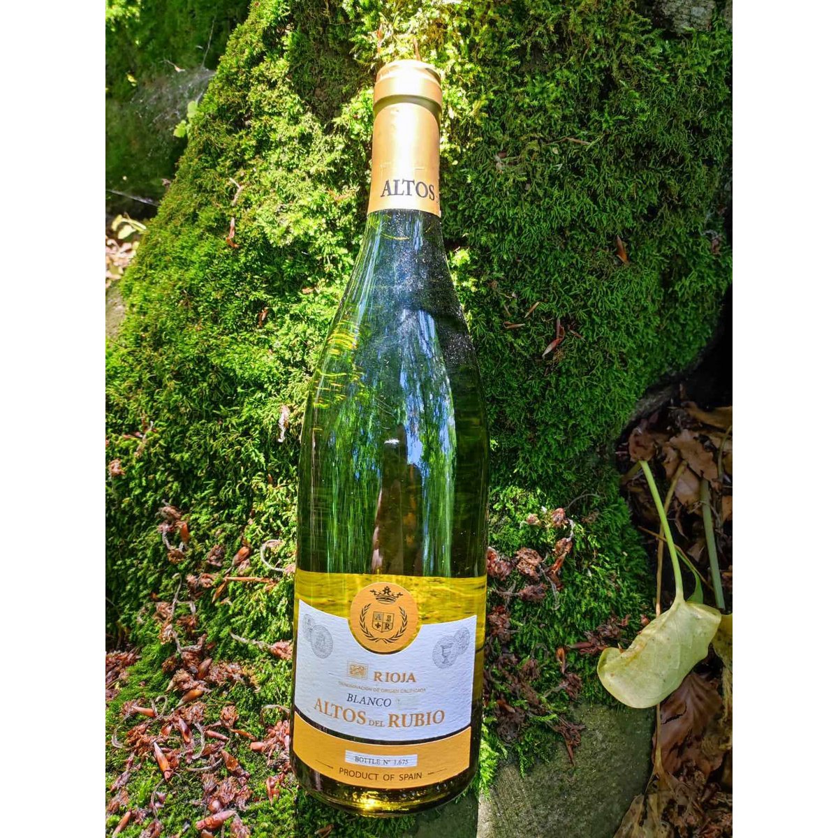 Witte wijn D.O.Ca. Rioja Altos del Rubio