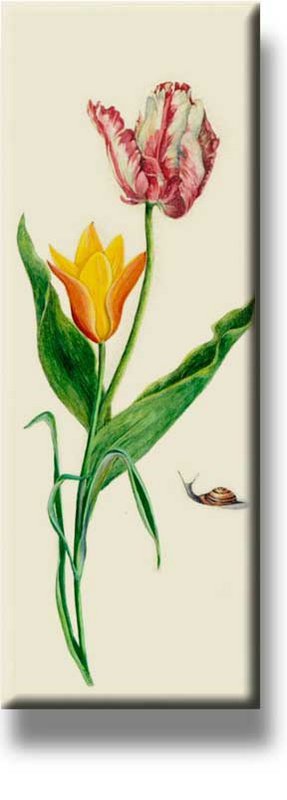 Fridge Magnet, Two Tulips and Snail