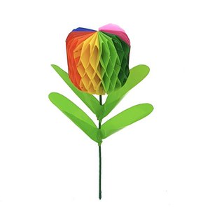 Zierblumenzwiebel, mini - rot