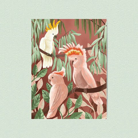 cockatoos