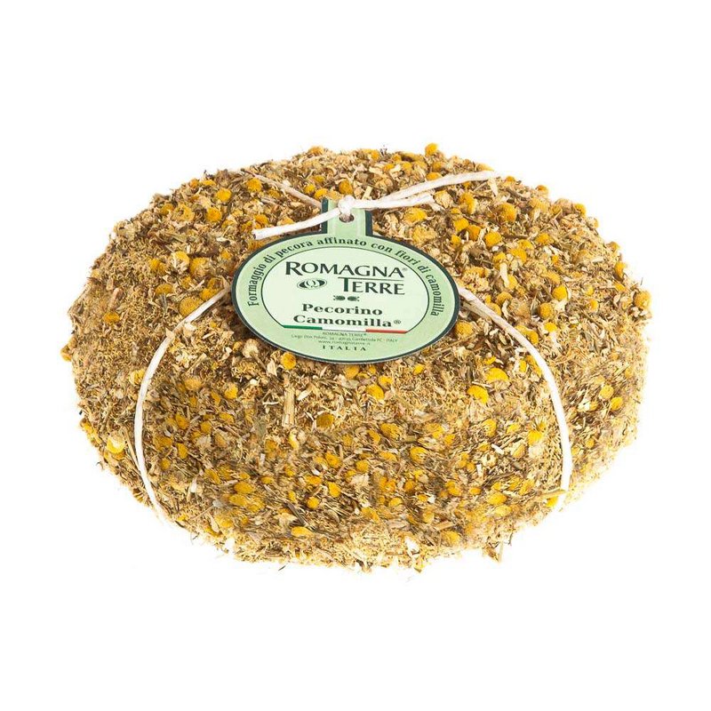 Pecorino con Manzanilla (queso de oveja) 0,5 kg -