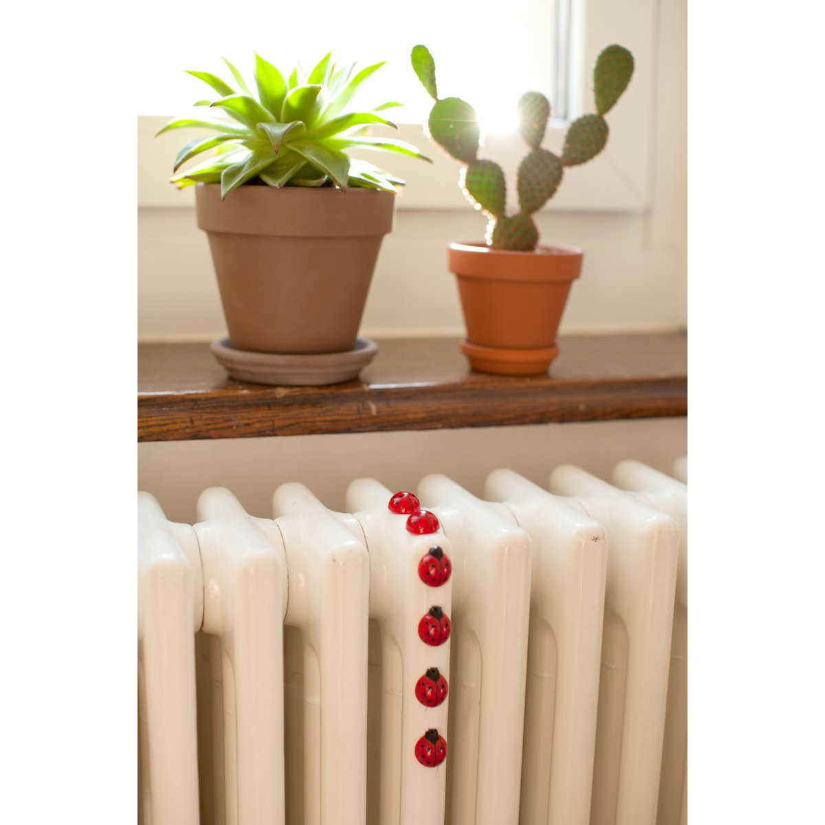 Trendform Magneten Ladybug - Set of 6