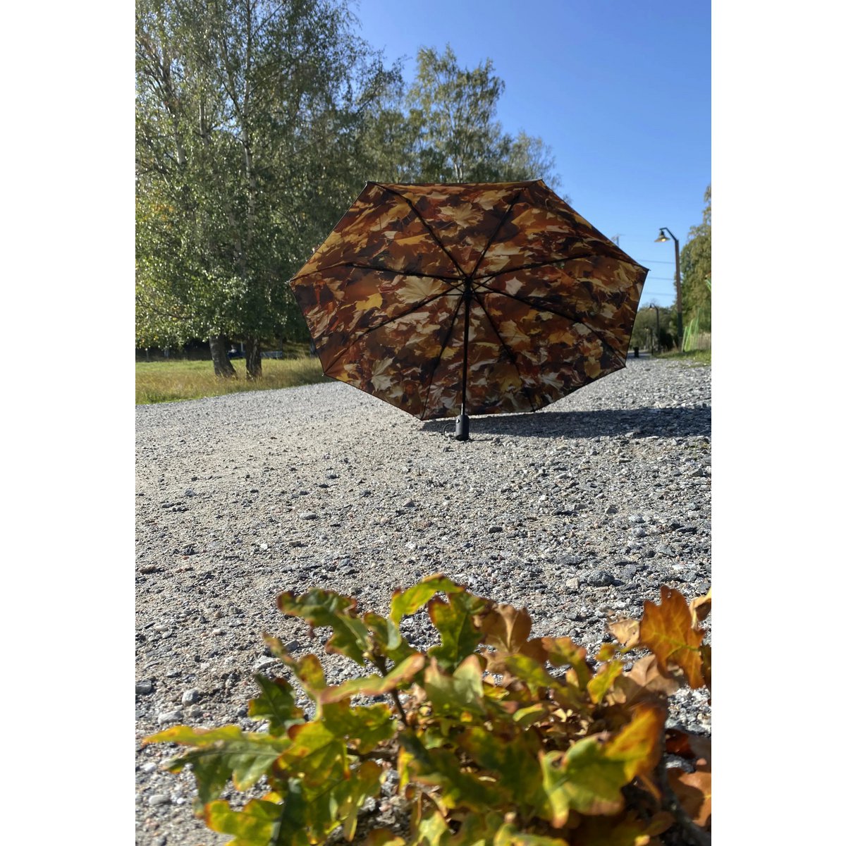 Höst Umbrella – Windproof & UPF50+ Protection
