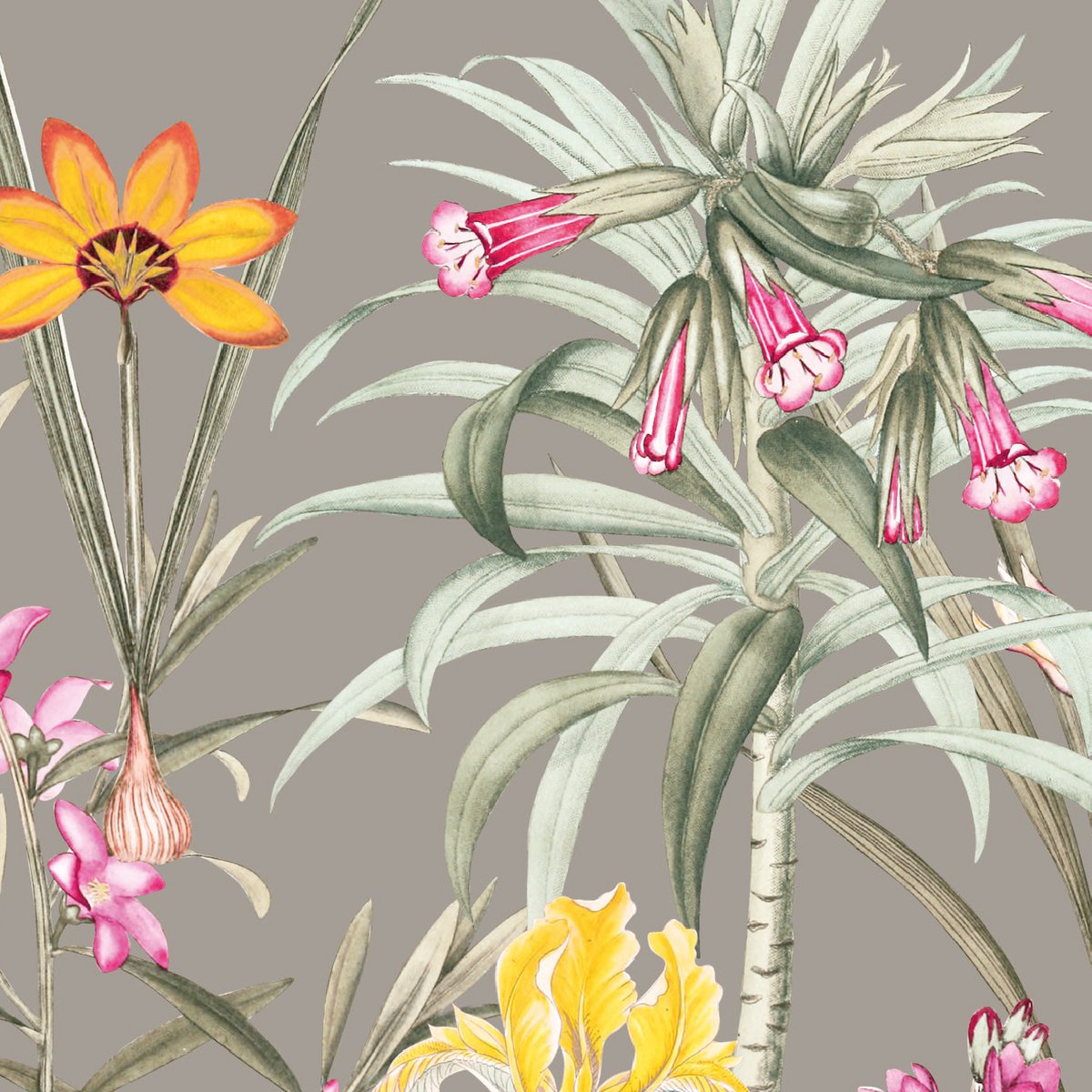 Cenefa autoadhesiva "Jardín Botánico" multicolor/taupe
