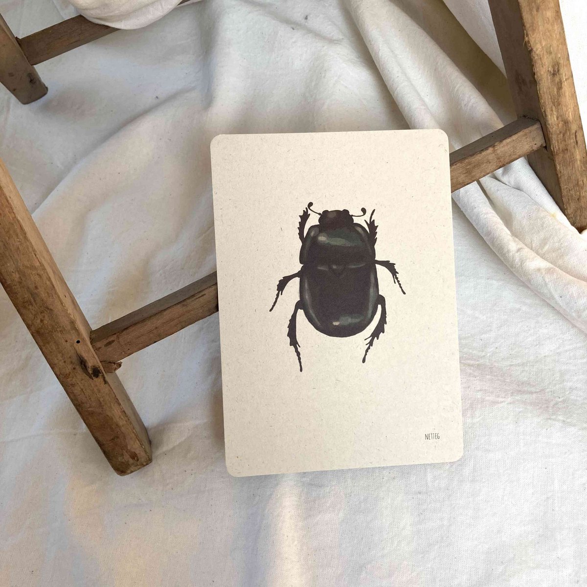 Kartenset Insekten