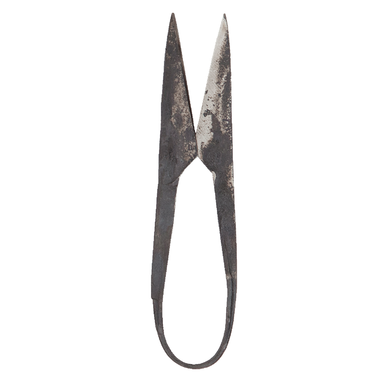 AUTHENTIC BLADES MO, forbici per erbe, lunghezza taglio 4-8 cm