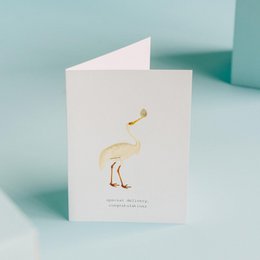 Cartolina d'auguri di consegna speciale
