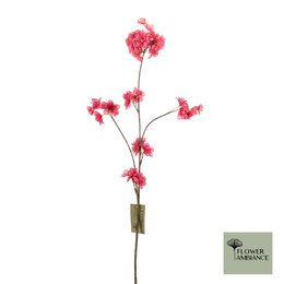 Prunus malaga spray cerise 84cm