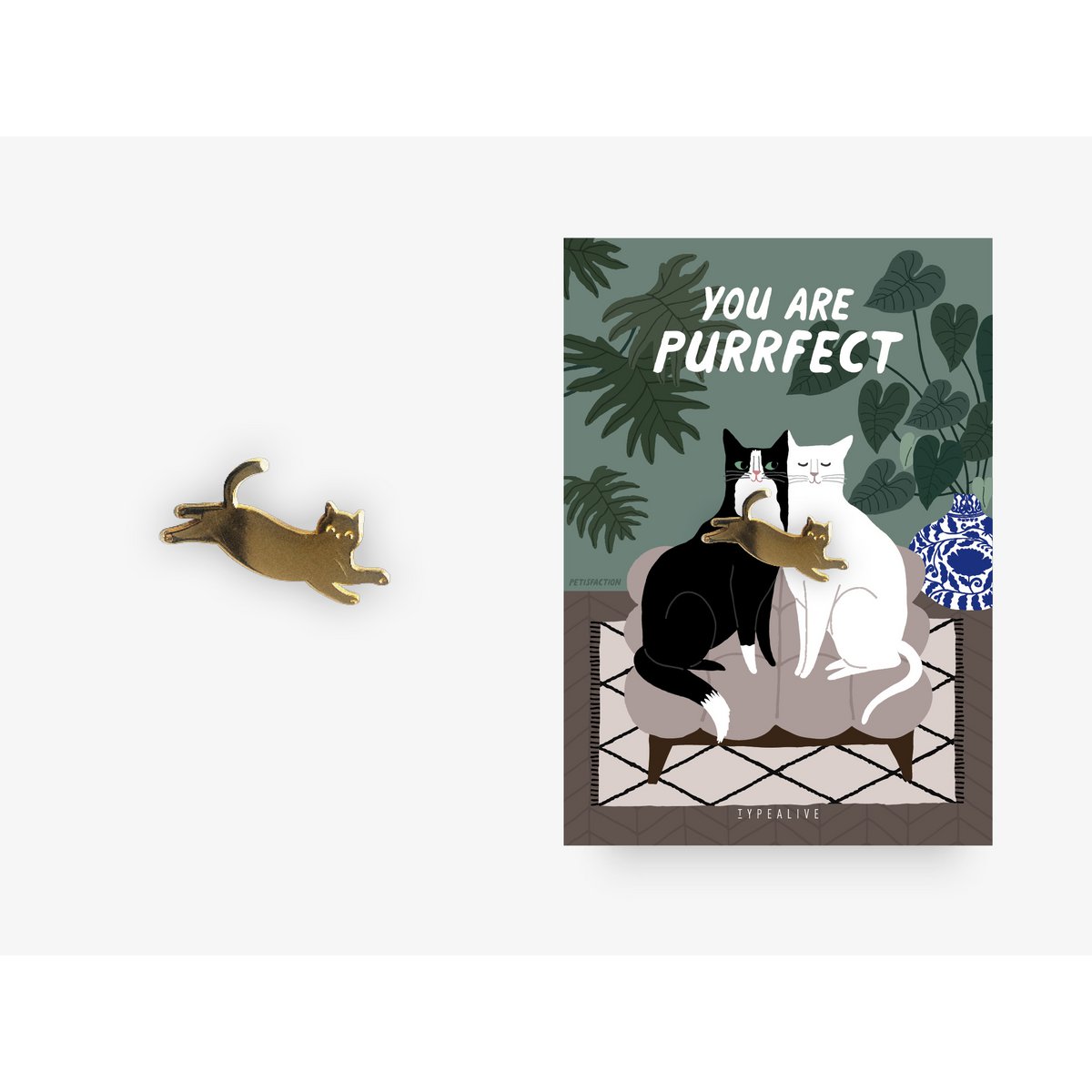 Pin / You Are Purrfect