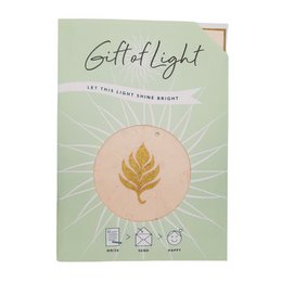 Gift of Light  | Display