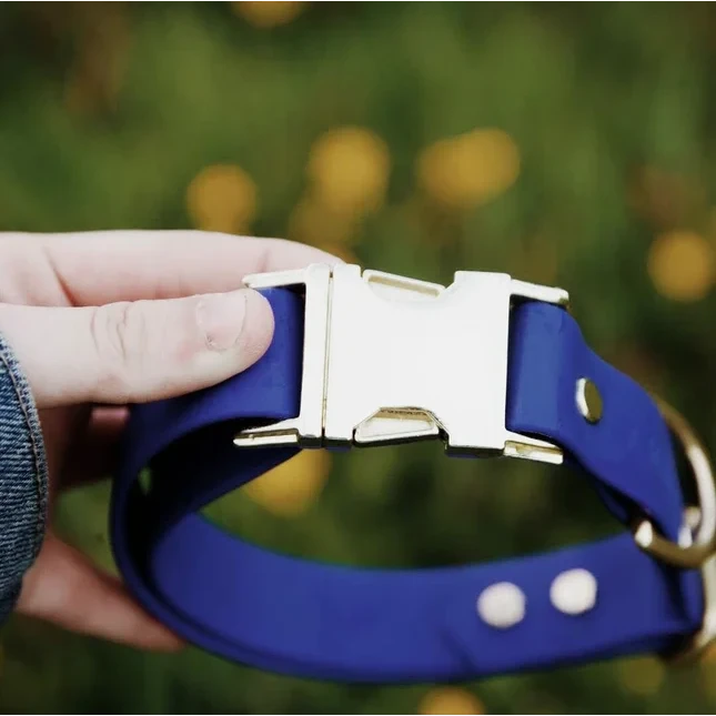 Plain Jane dog collar