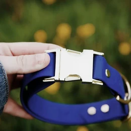 Collar de perro Jane liso