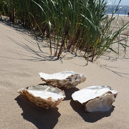 Oyster-shaped candle package in medium size, made of natural materials and featuring a rustic, coastal design.