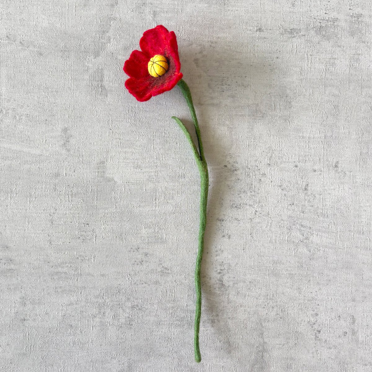 Fleur de coquelicot rouge
