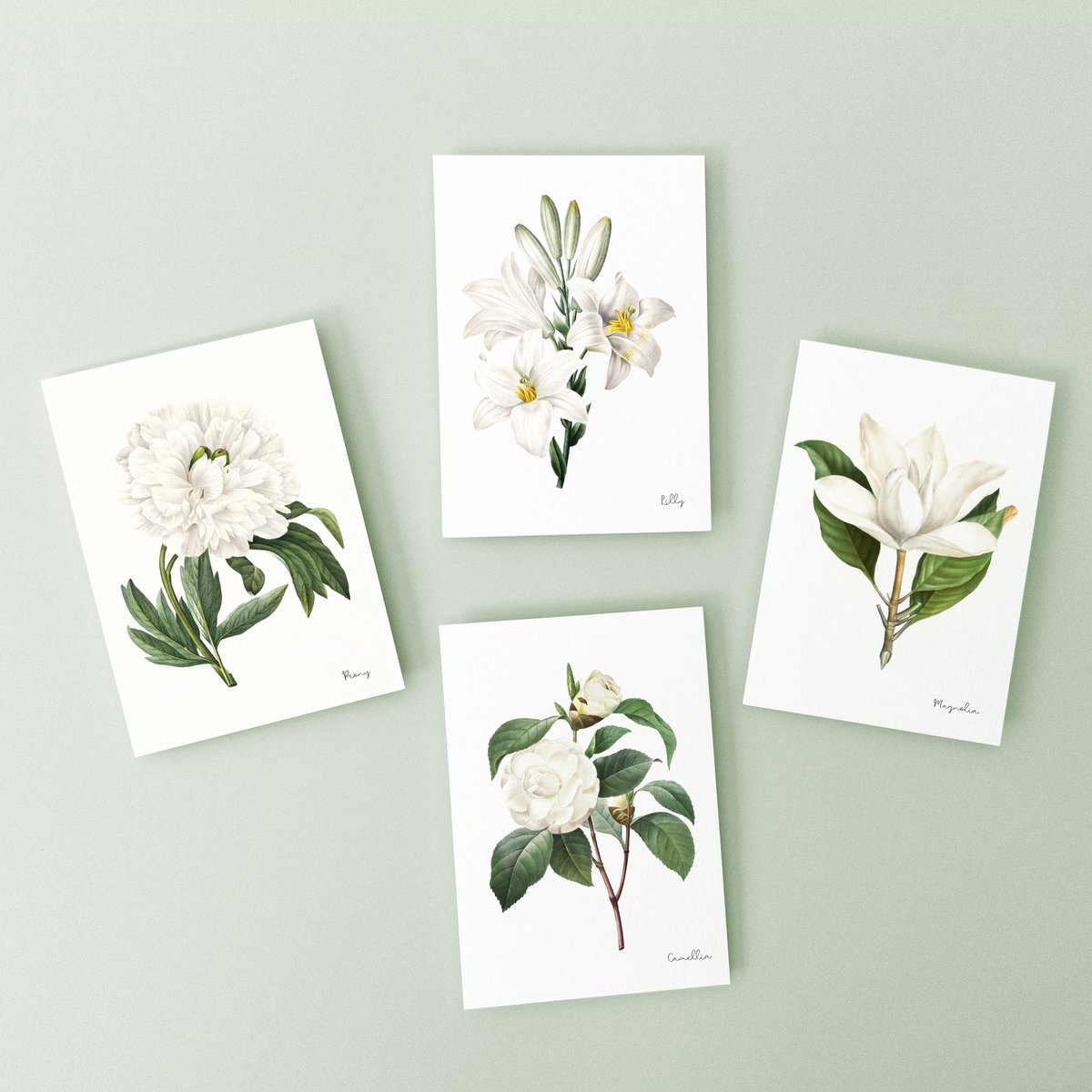 White Pack - Kun håndlavede postkort - Botanisk Vintage