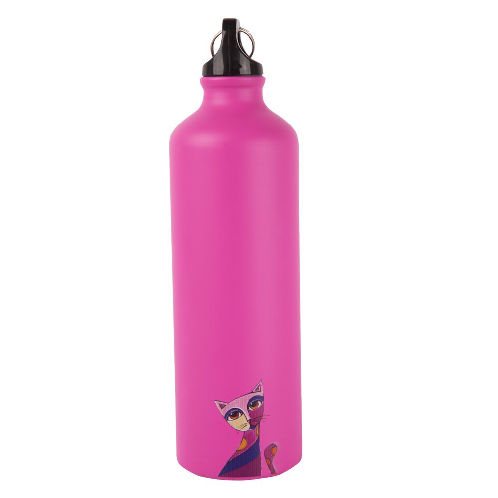 Biggdesign Owl And City Aluminiumflasche – 750 ml