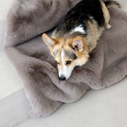 SOFT AFFAIR knuffeldeken voor honden
