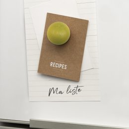 Boite de 6 petites boules magnétiques en bois - couleur