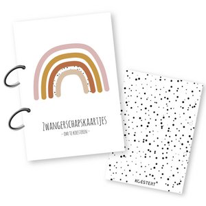 Pregnancy Card Storage Bundle | pink rainbow