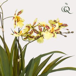 Kunstig plante - Orkidé - Gul - 45cm