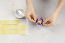 Dumpling Maker