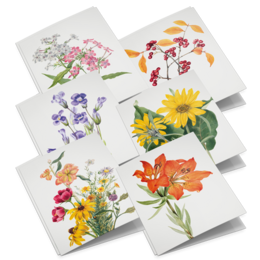 Lykønskningskortsæt Vilde blomster