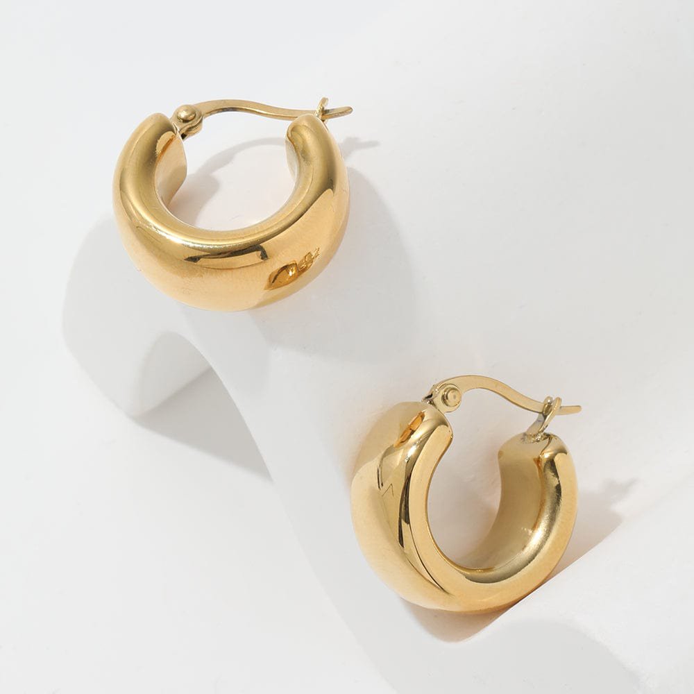 Annalynn - Thick Hoop Earrings