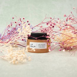 Lippenbalsam mit recyceltem Hanfsamenöl und Sheabutter