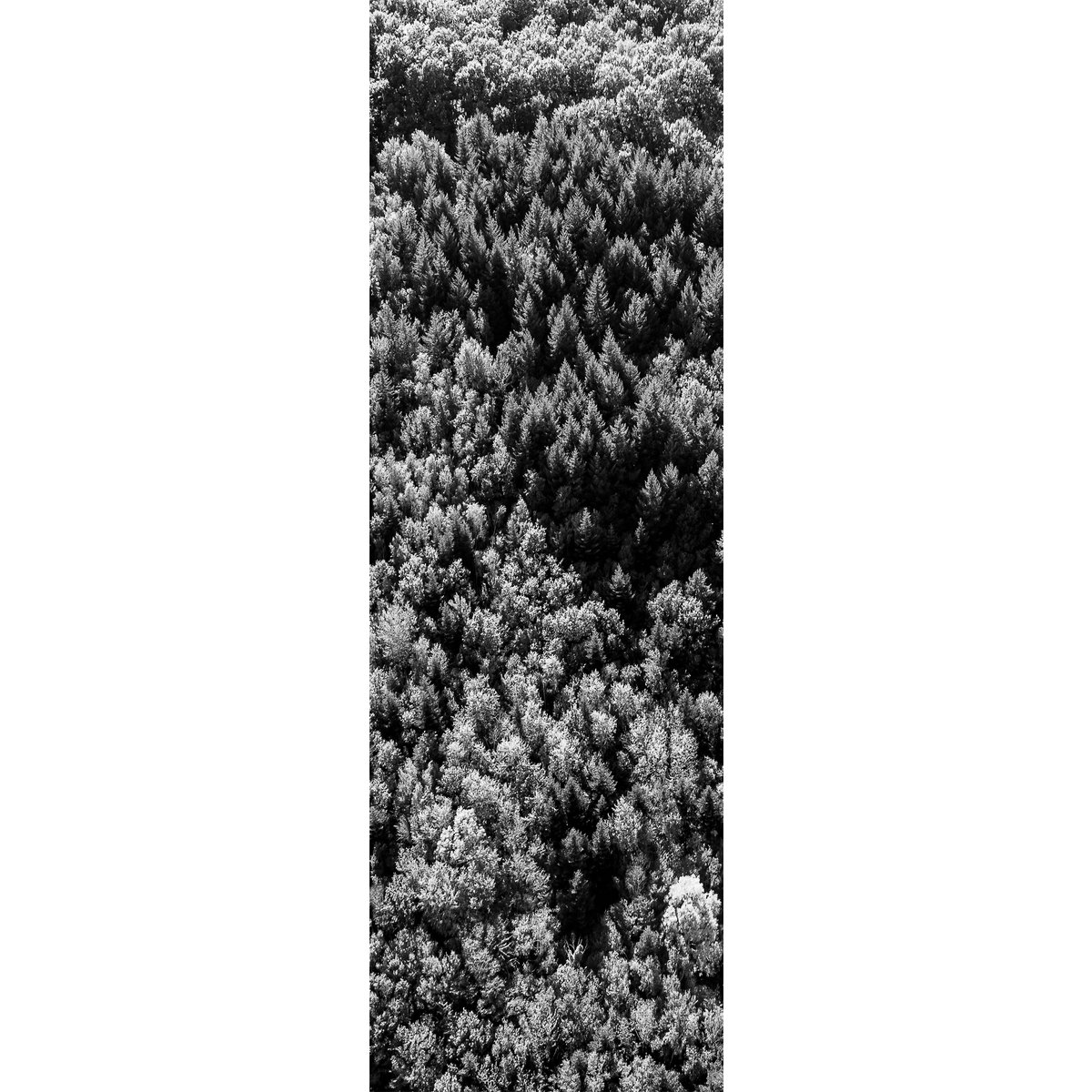 Noir 46 x 142 cm structure Standard