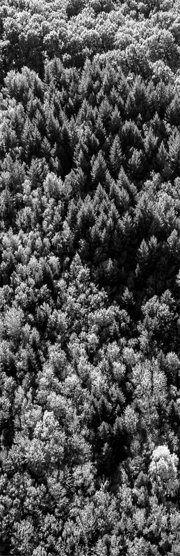 Liggestolslærred – Altitude Collection