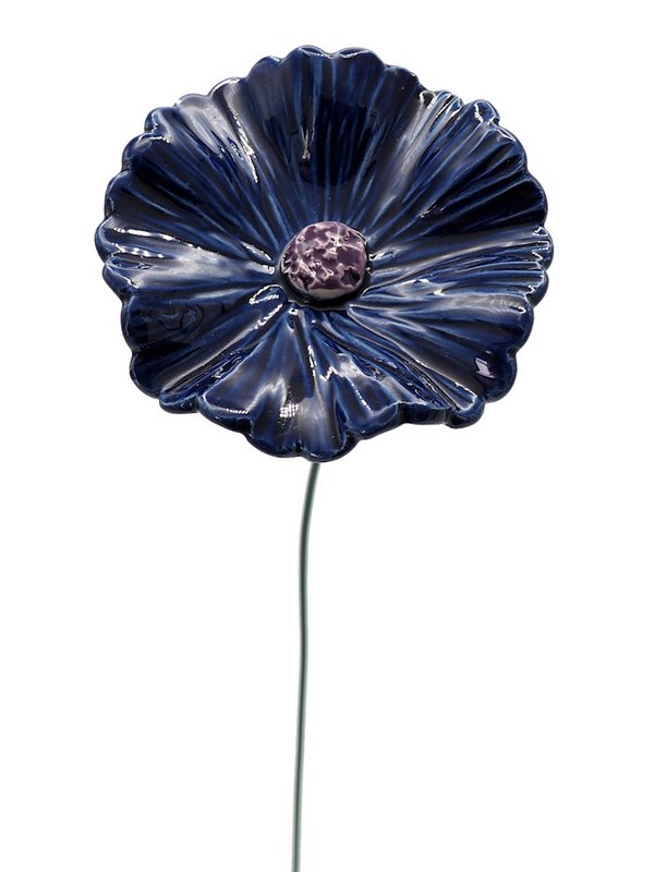 Cornflower blue large 8 cm