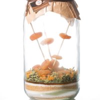 Preparation for arranged rum "Apricot Tea" 3 L