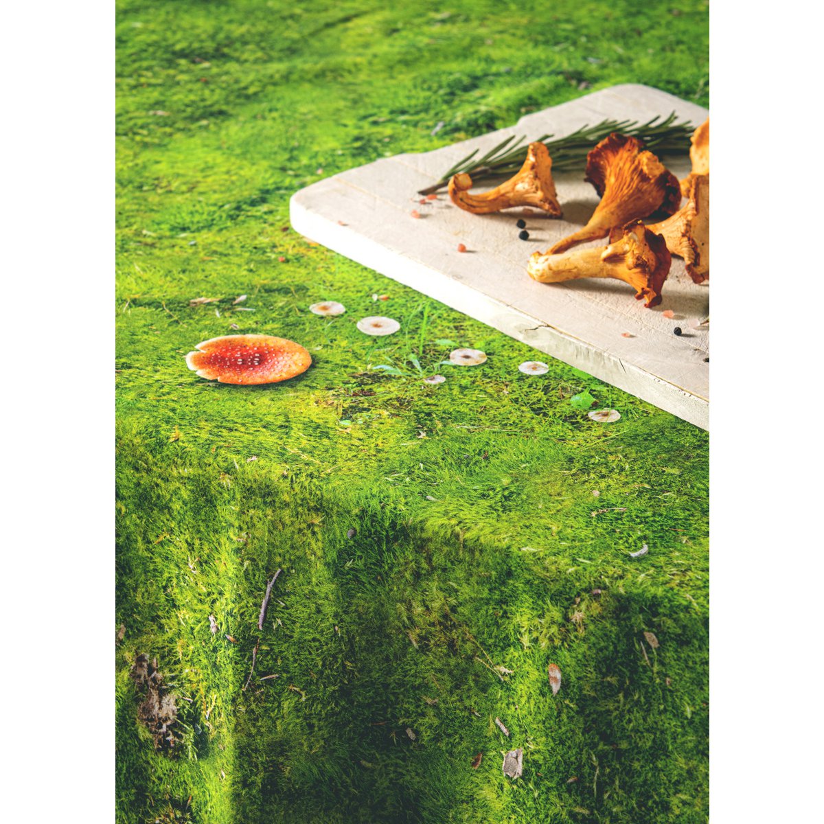 MOSS - tablecloth