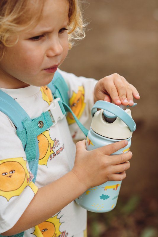Insulated Stainless Steel Bottle Meowtiful Cats