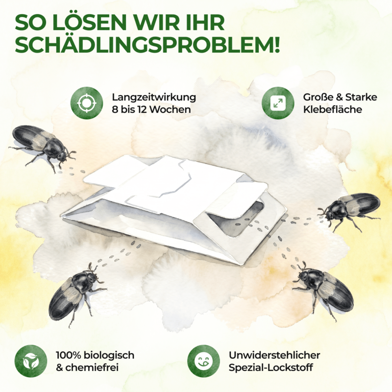 Speckkäfer Falle