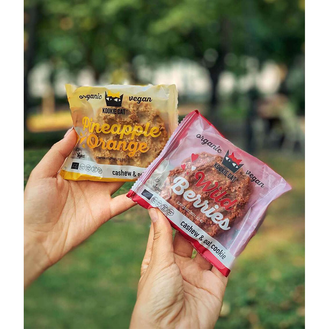 Pineapple and orange Cookie, organic, Kookie Cat, 50g
