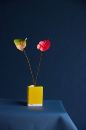  A small Pantone notebook with dotted pages, available in various colors including yellow, blue, light pink, red, green, grey, and pride.