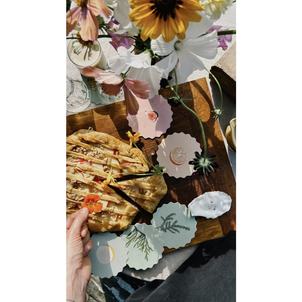 Posavasos/Posavasos 10 Frutas y Verduras - 12 Juegos