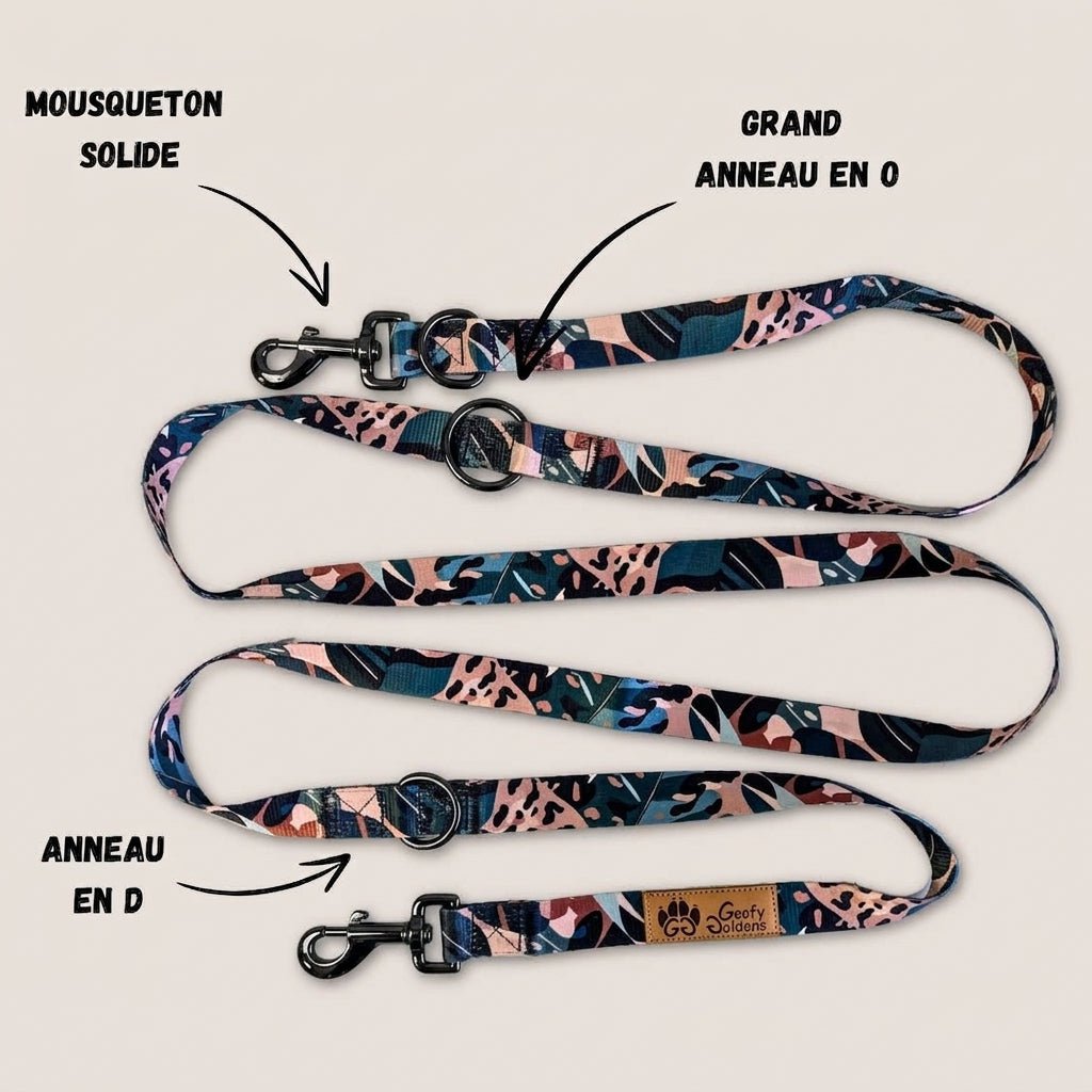 Savane multi-position leash