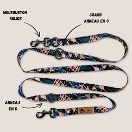Savane multi-position leash