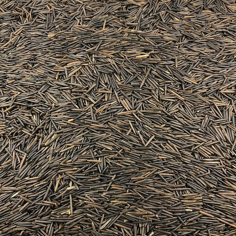Organic Wild Rice in Bulk