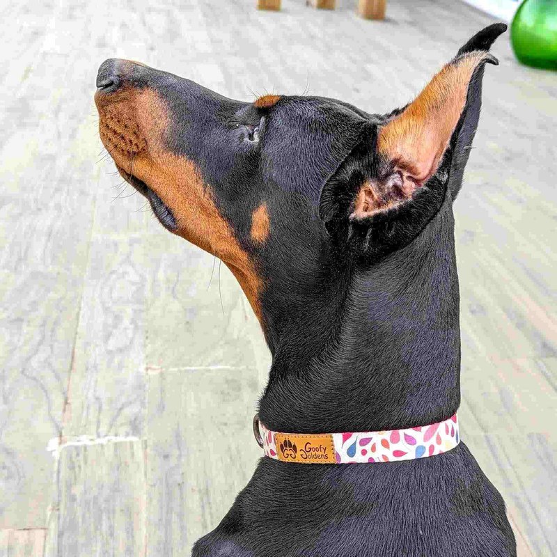 Collier pour chien Pétales