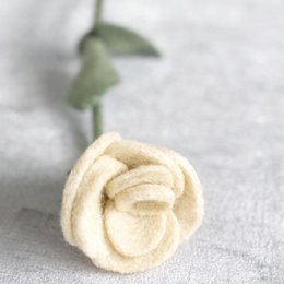 Rosa bianca