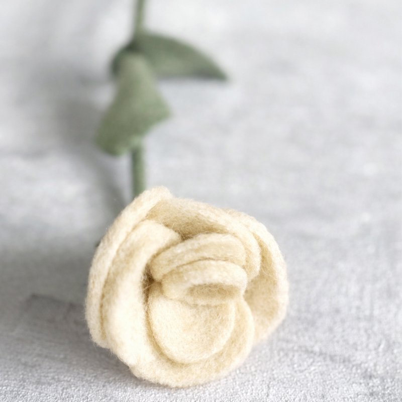 Rosa bianca