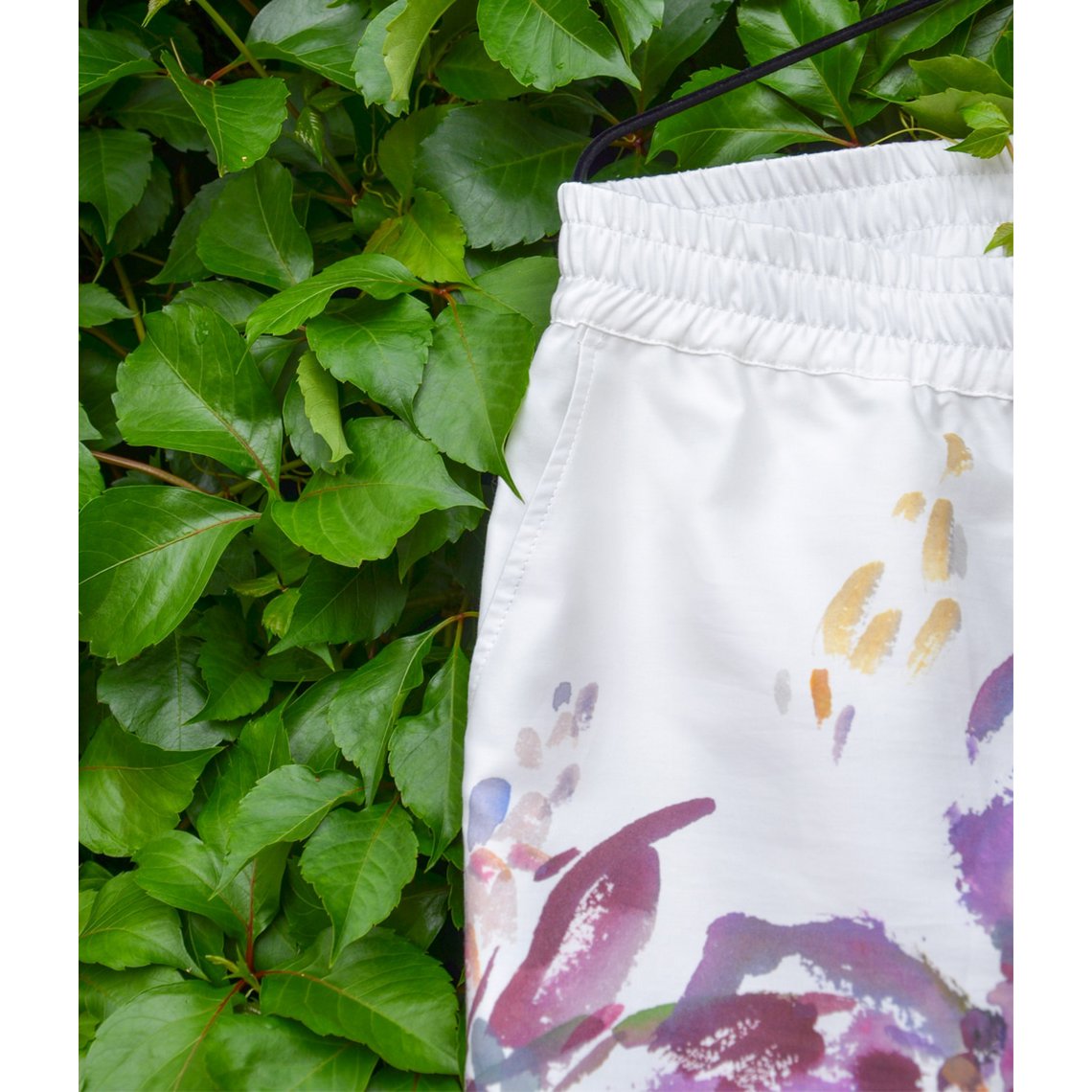 Iris de verano